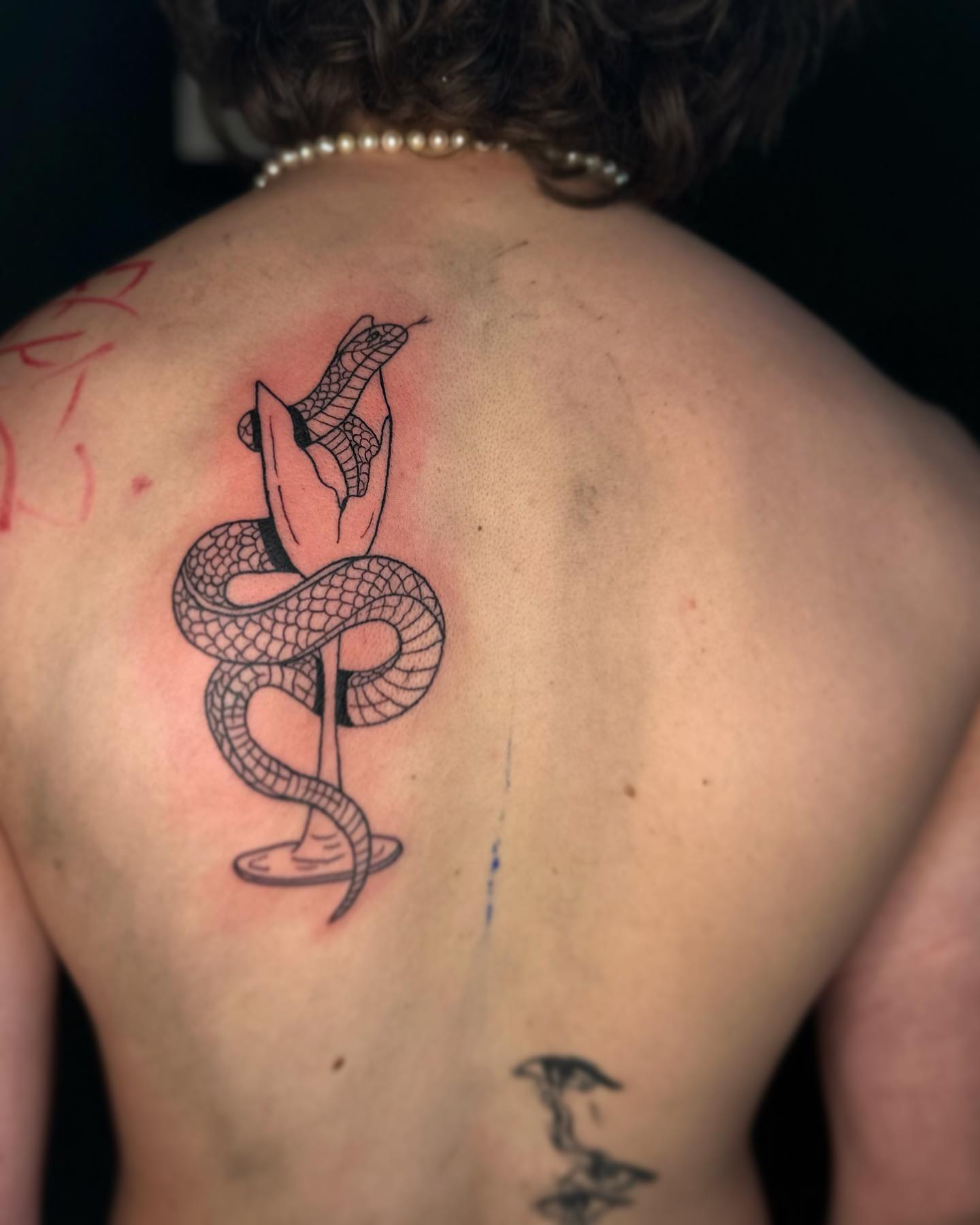 Snake  
Thank you 
.
.
#snake #snaketattoo #tattoo #tattoos #tattooartist #tatto