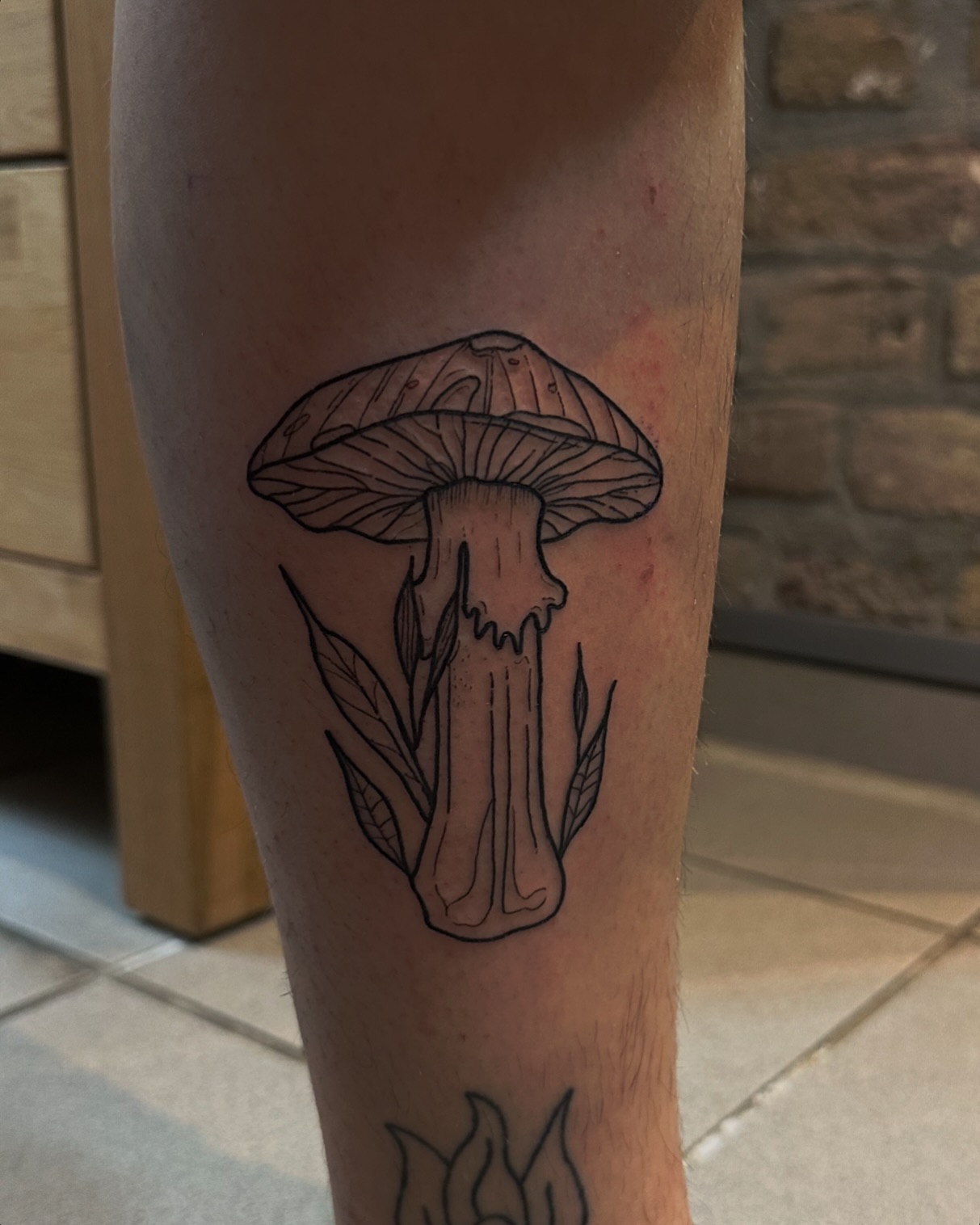 __
Thank you 
#mushrooms #mushroom #mushroomtattoo  #tattoo #tattooideas #tattoo