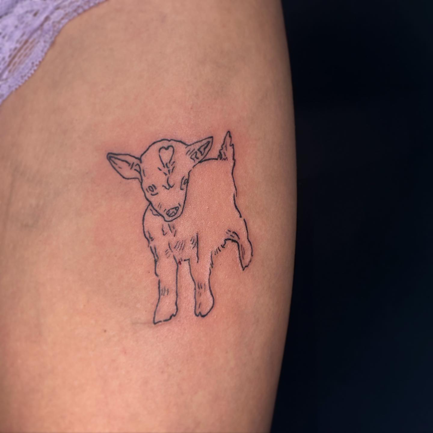 _babygoat_
.
.
#tattoo #flashtattoo #flash #goat #babygoat #goattattoo #tattoos