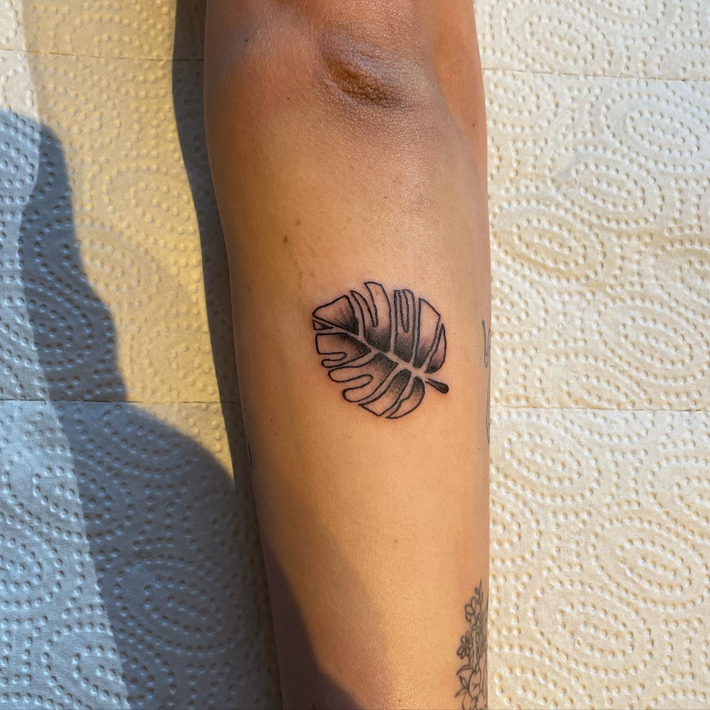 _leaf tattoo_ 
Thank you for the trust 

#flashtattoo #flashtattoodesign #tattoo