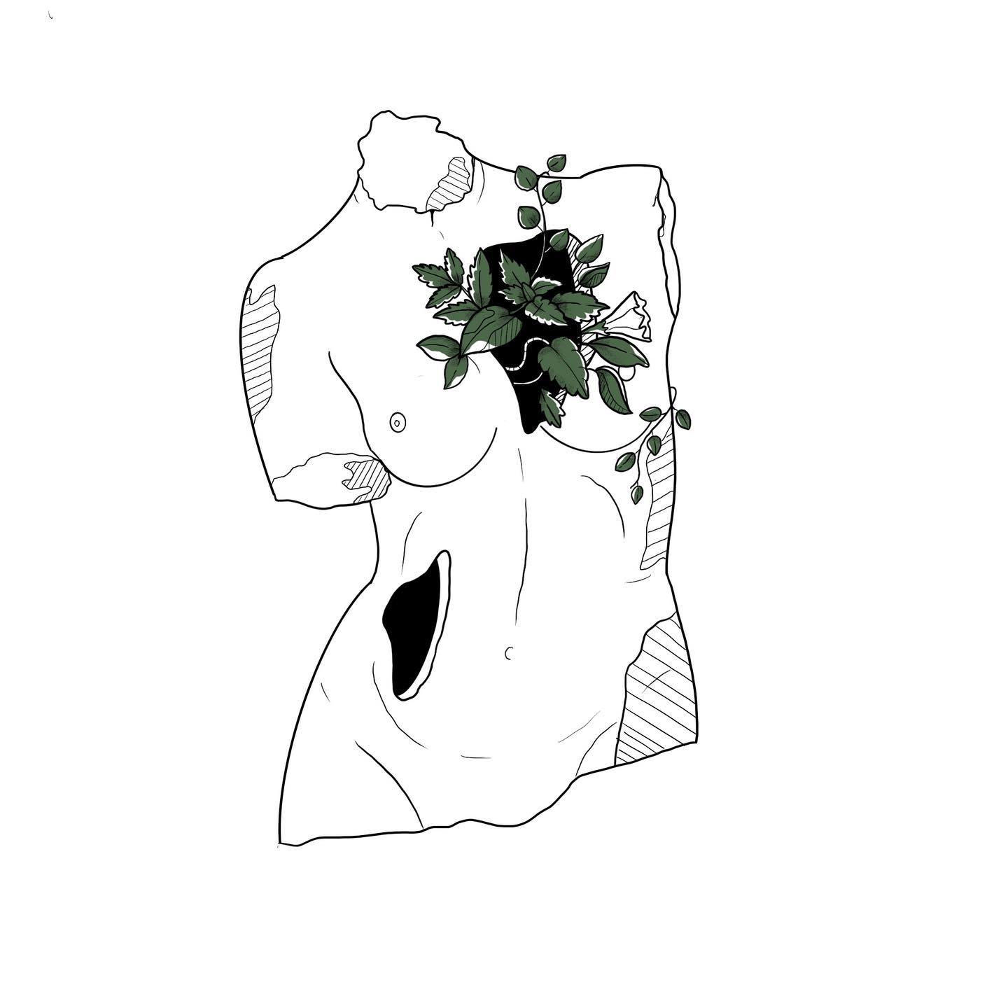 _woman Plant love_
#tattoo #flashtattoodesign #tattooideas #illustration #plants