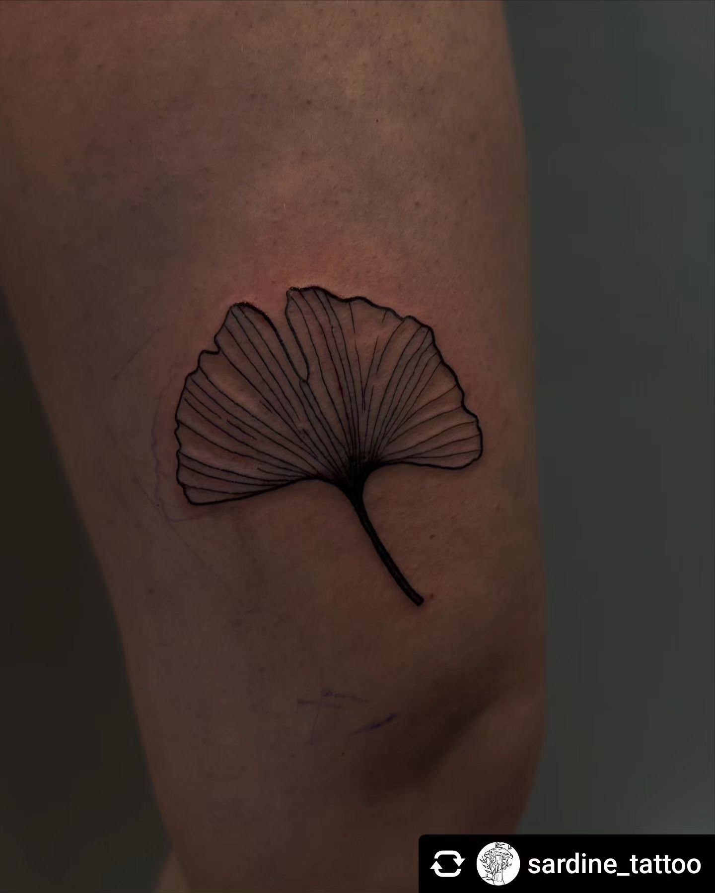 Ginko von @sardine_tattoo __
@thank you so much inaaaxyz 

 #tattoo #tattooideas