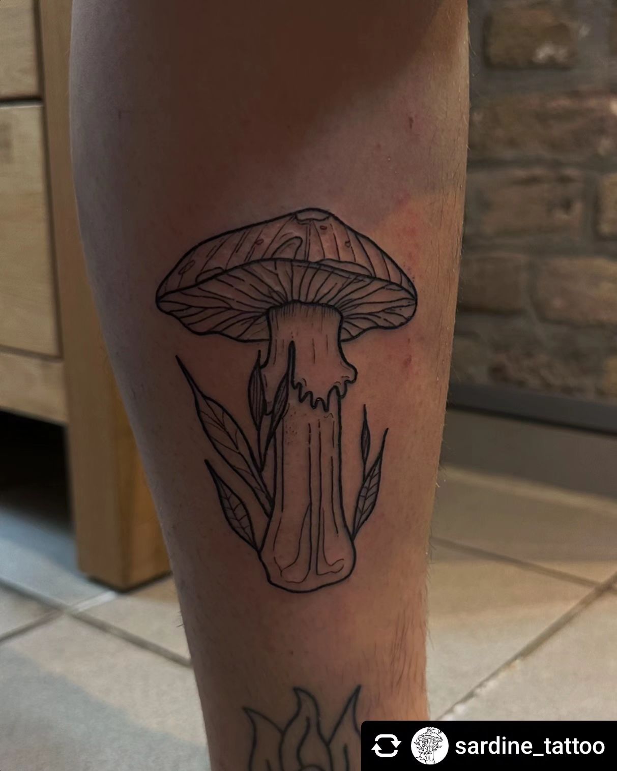 Pilz von Patricia @sardine_tattoo __

Thank you 

#mushrooms #mushroom #mushroom