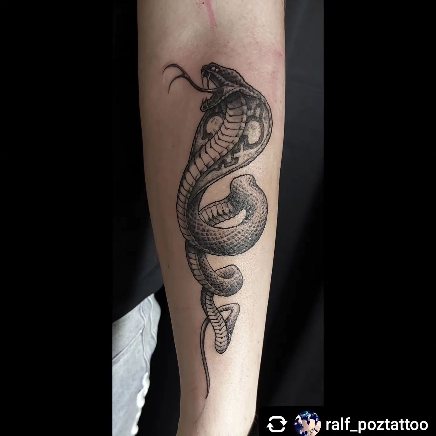 Schlange von @ralf_poztattoo

#tattoo#snaketattoo#freywerk #tattoocologne #black