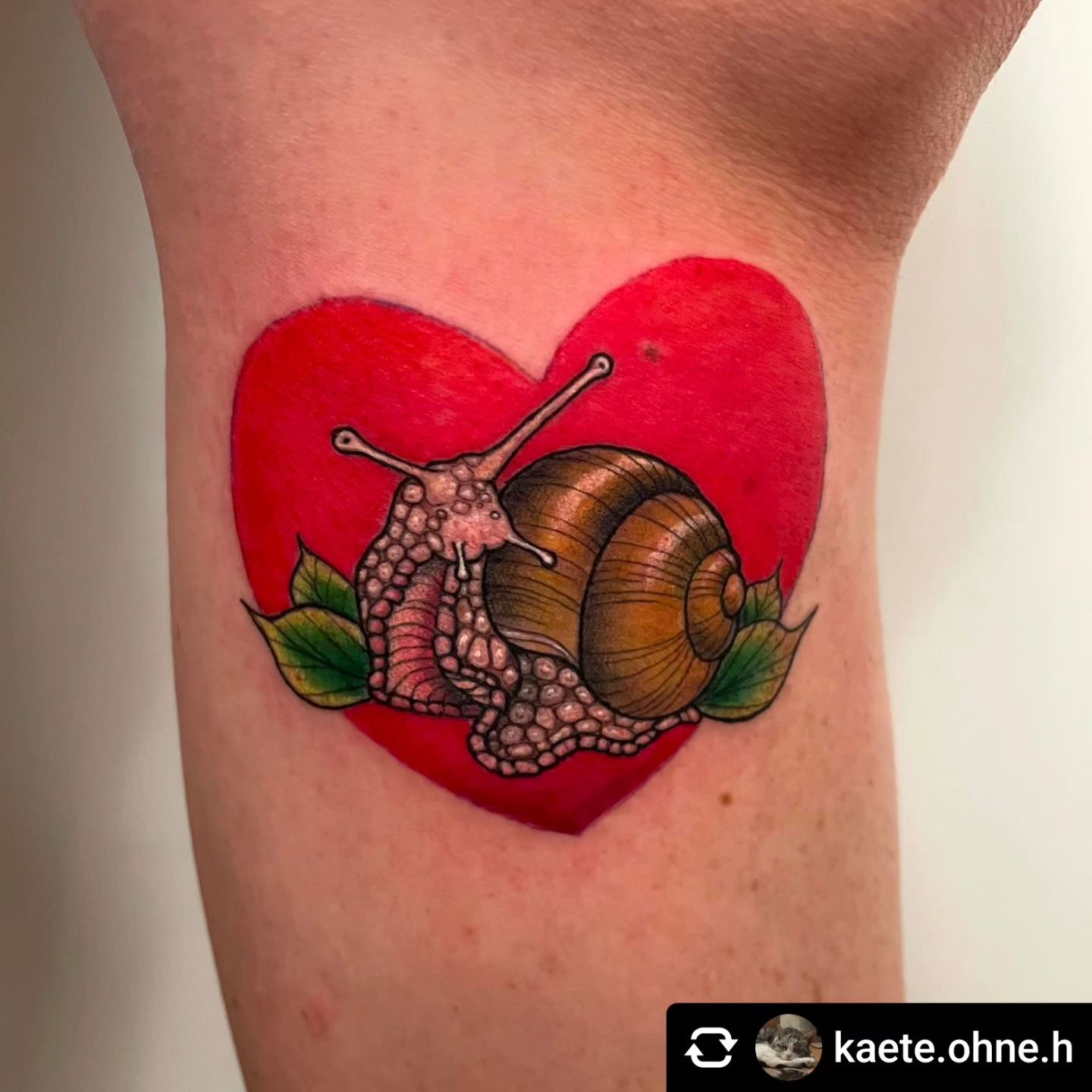 Schnecke von @kaete.ohne.h 

Schnecke 
•
•
•
#inked #inkedgirls #ink #tattoos #t