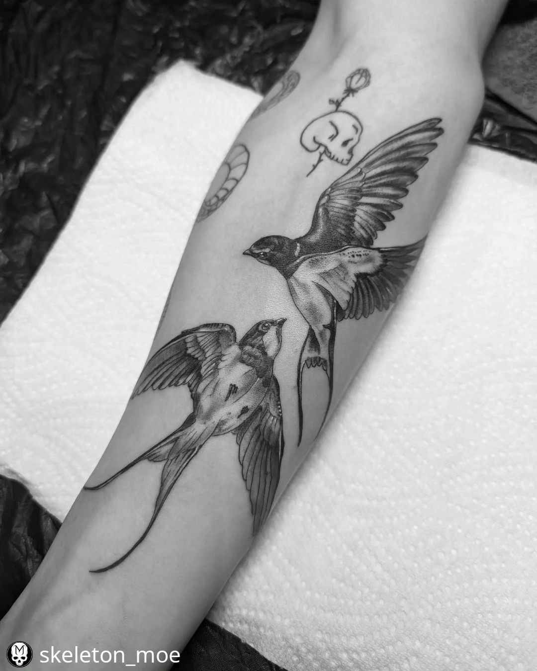 Swallows ♡@skeleton_moe
• • • • • •
Swallows for Abel. Thanks for the visit!
-
#